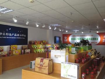 迈越科技创新产品AI智能眼镜于博览会开幕典礼首度亮相